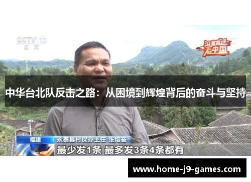中华台北队反击之路：从困境到辉煌背后的奋斗与坚持