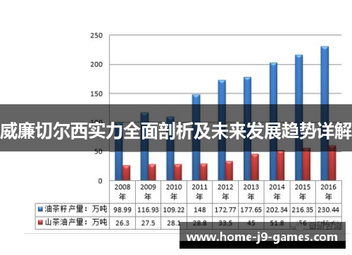 威廉切尔西实力全面剖析及未来发展趋势详解