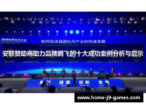 安联赞助商助力品牌腾飞的十大成功案例分析与启示